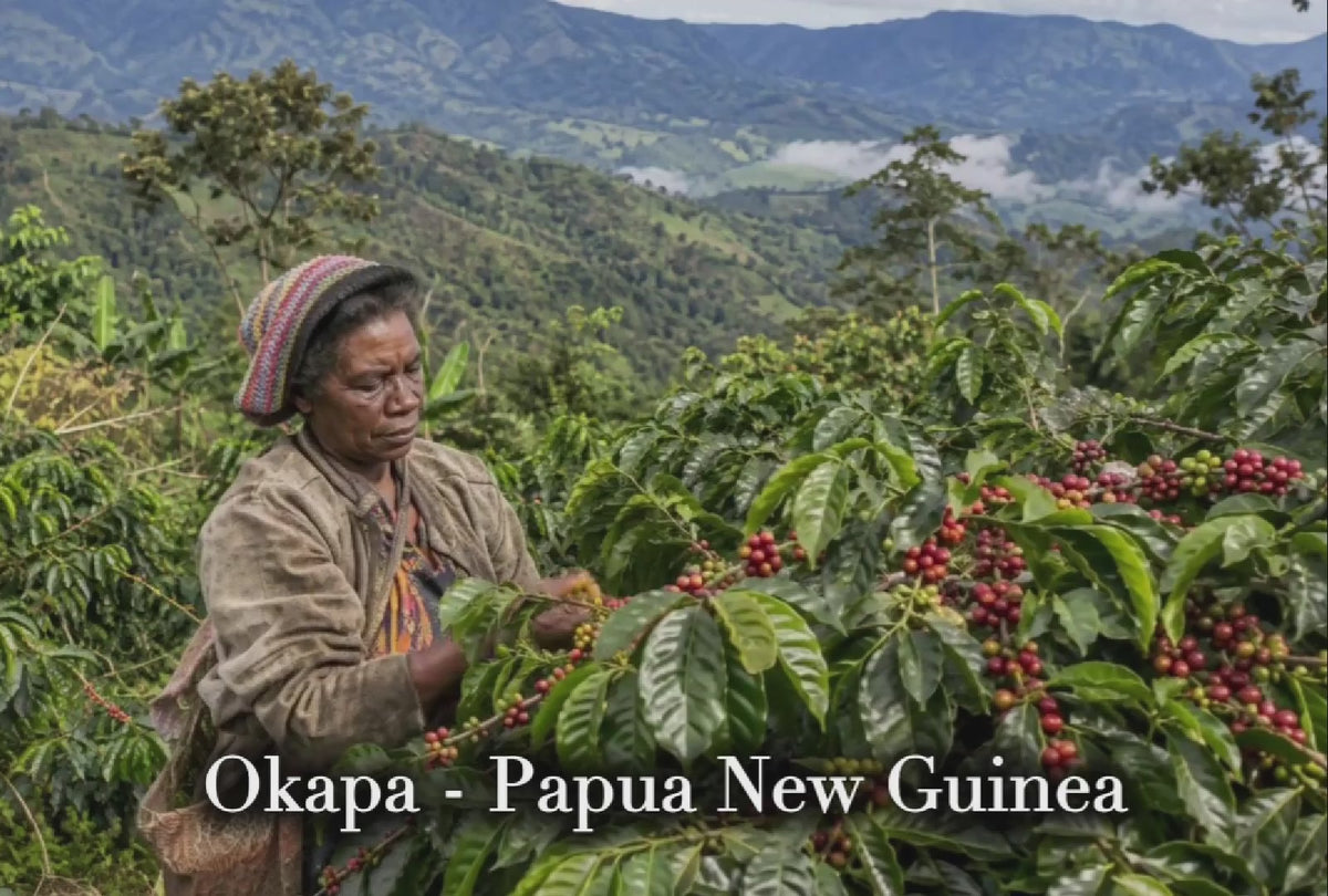 Traditional Espresso — from origins to the finished cup